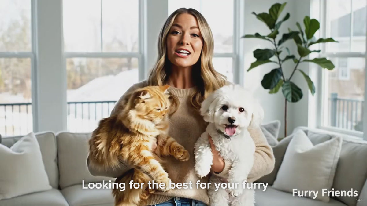 Load video: Furry Friends smart pet tech and accessories video showcase